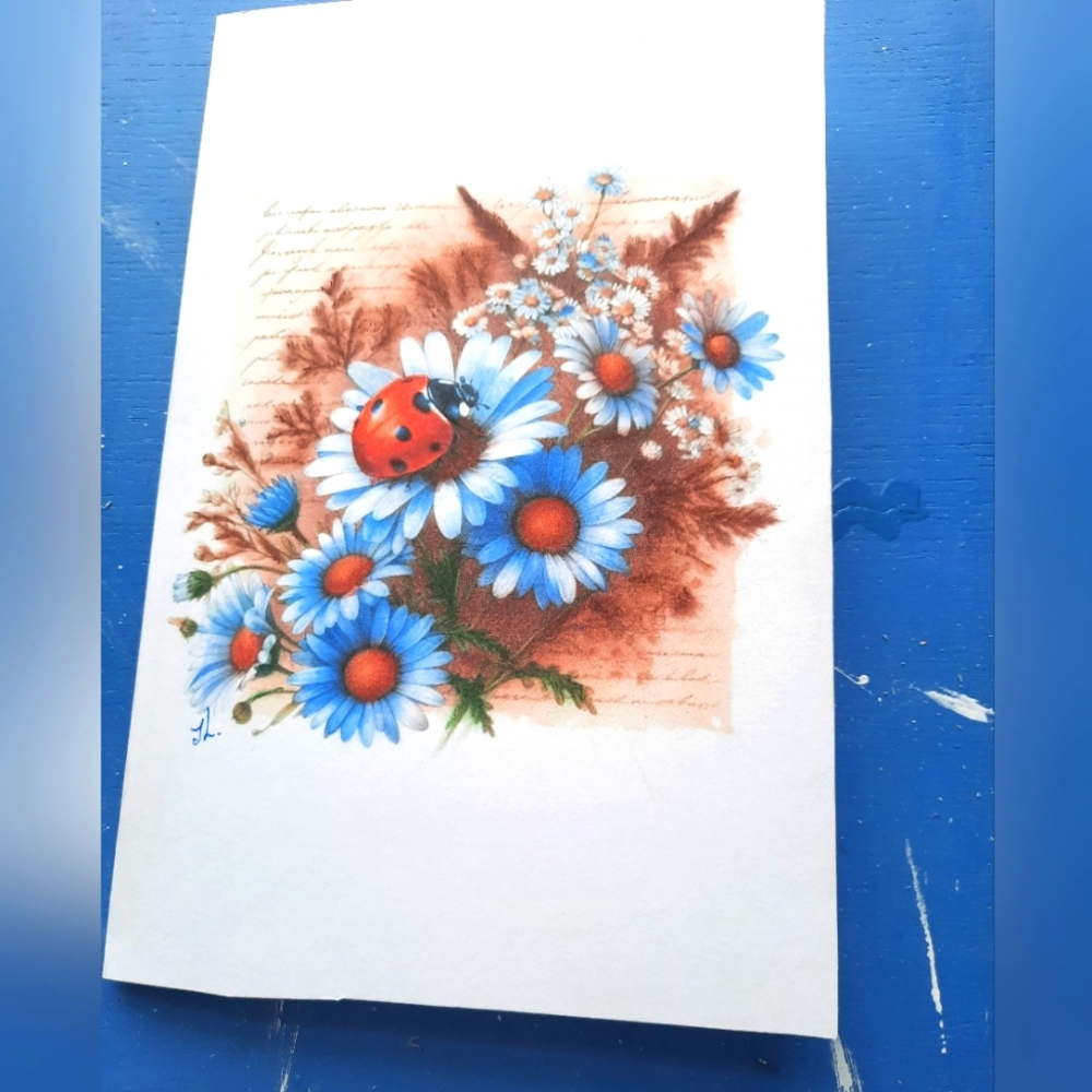 Handmade Lady Bug Greeting Card / Pencil Art Mixedmedia